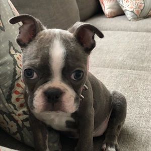 Meet your Posher, Mandy